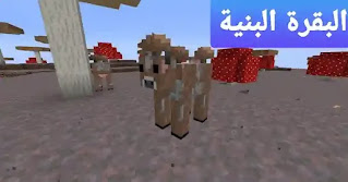 افضل 5 حيوانات نادرة في ماين كرافت