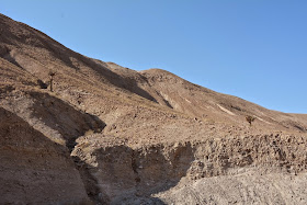 Candelabro desert Andes Mountains