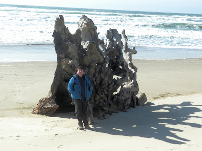 photo of bob and driftwood on bay ocean spit