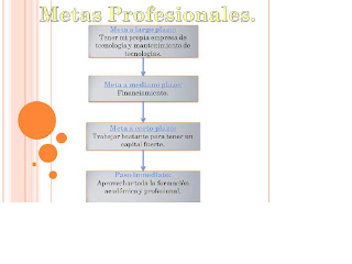 Metas profesionales a corto plazo