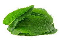 Khasiat  Daun Pudina,(Benefit of Peppermint