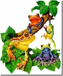 frogs