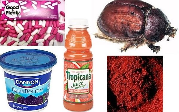 Must see! Food Made With Disgusting Ingredients