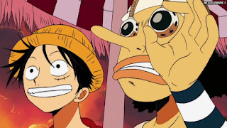 ワンピース アニメ 空島 スカイピア 165話 ルフィ ウソップ | ONE PIECE Episode 165 Skypiea