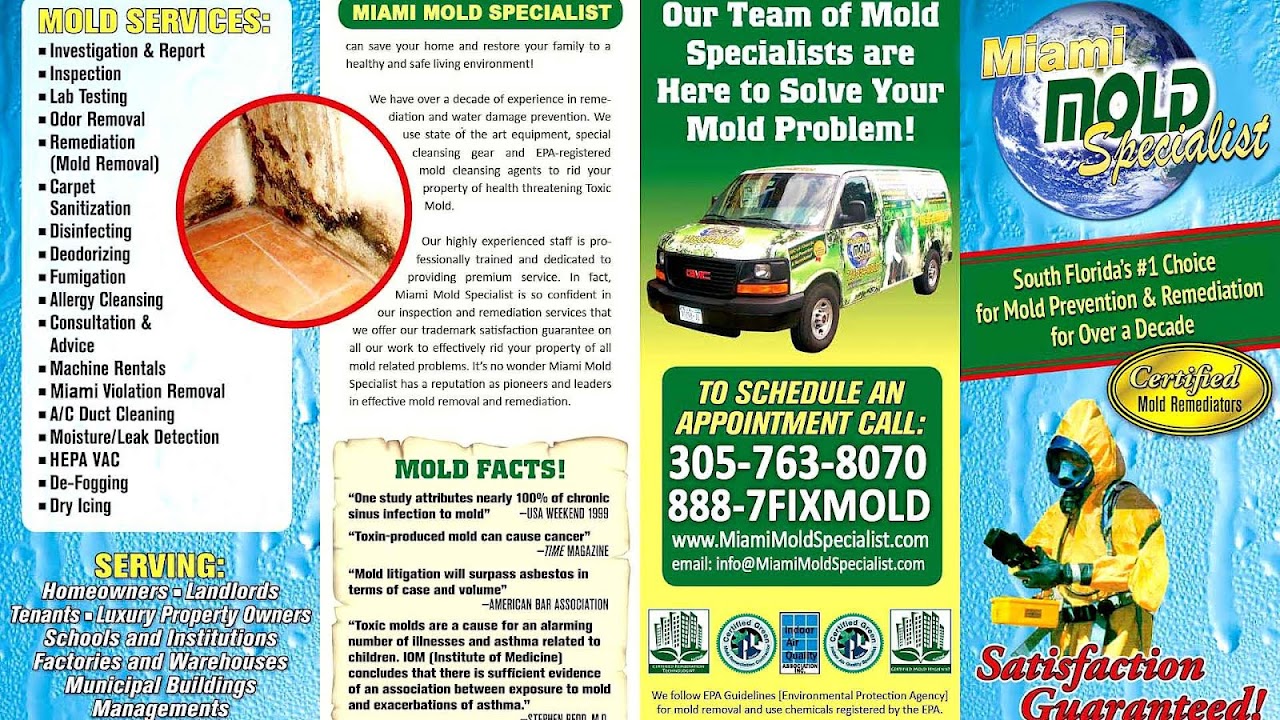 Mold Professional Inspection