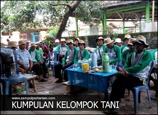 Cara dan tahapan yang harus dilakukan untuk membentuk Kelota atau Kelompok tani