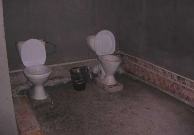 unusual toilets