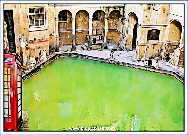 The B Team's Roman Bath Selfie in Bath ©BionicBasil® Caturday Art Blog Hop and Smooch's UK Historical Travel Guide