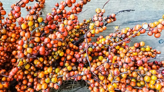 berry wreath with damaged berries