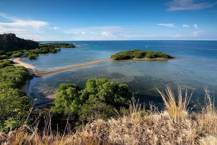 Wisata Pantai Balanan Baluran