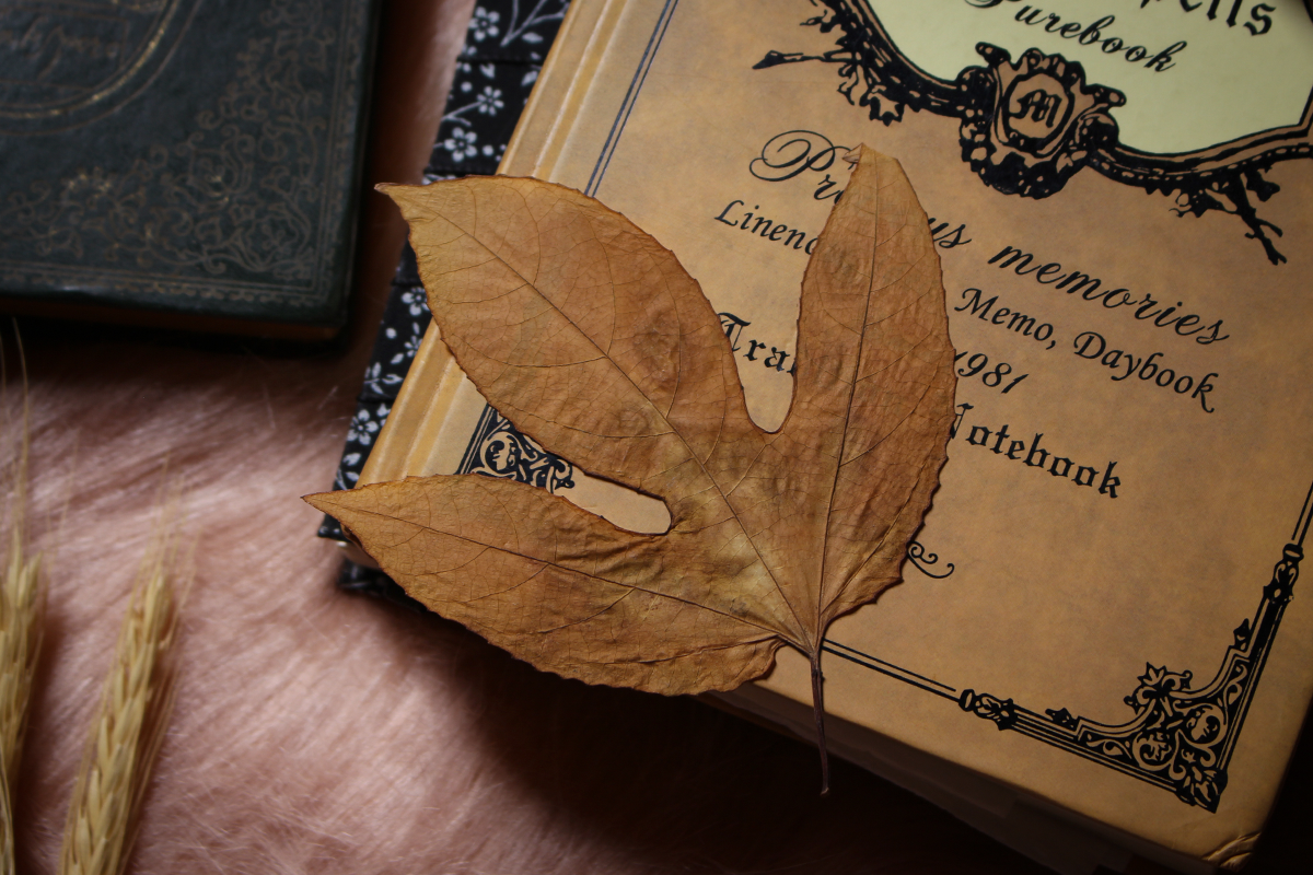 a dry, yellow leaf on top of a journal