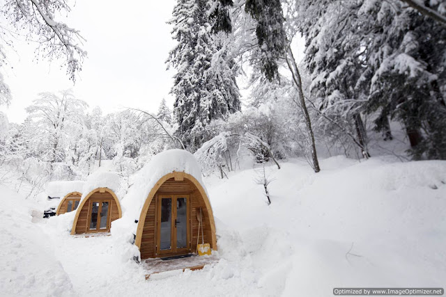 prefabricated modules produce an excellent sustainable micro home for the garden, Pod House