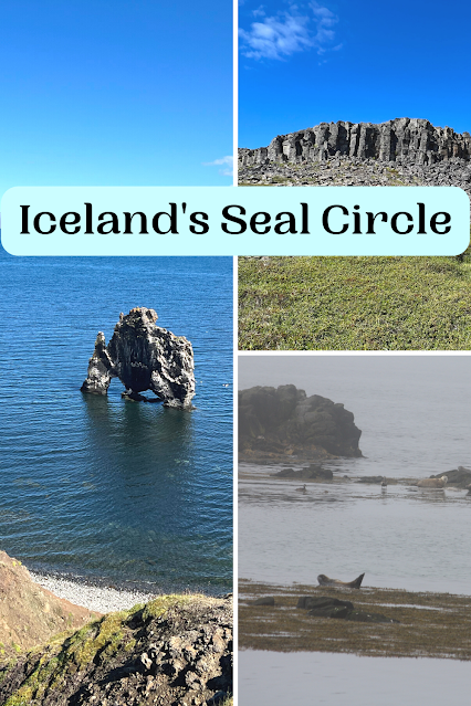 Seals, Waterfalls, and Vikings:  Wandering Iceland's Seal Circle