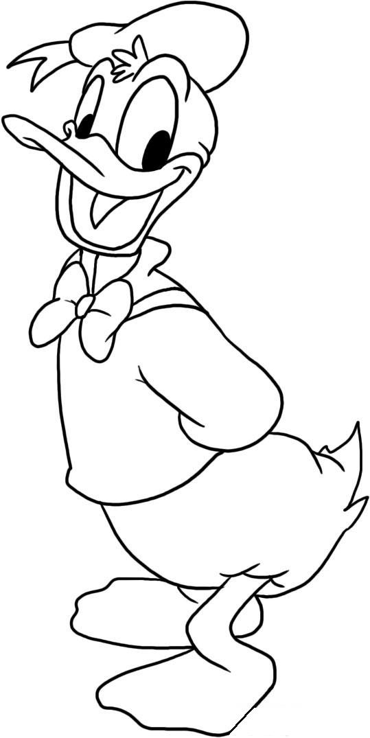 donald and deasy duck coloring pages