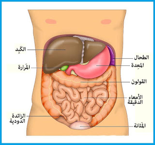 القولون العصبي وأعراضه النفسية والجسدية 