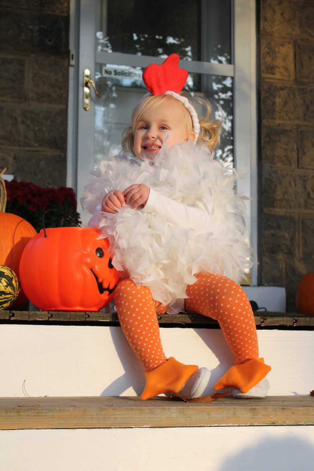 Martha+stewart+chicken+costume+kids