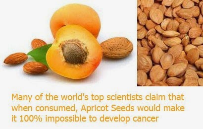 apricot seeds health benefits