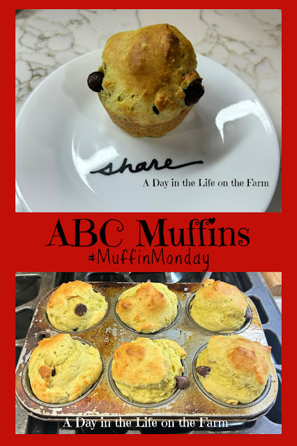 ABC Muffins pin