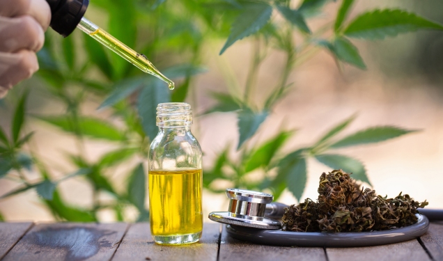 Benefits and Uses of CBD Oil, Plus Side Effects