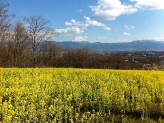Img_8586