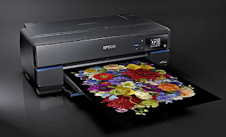 Epson SureColor P800 Driver Download