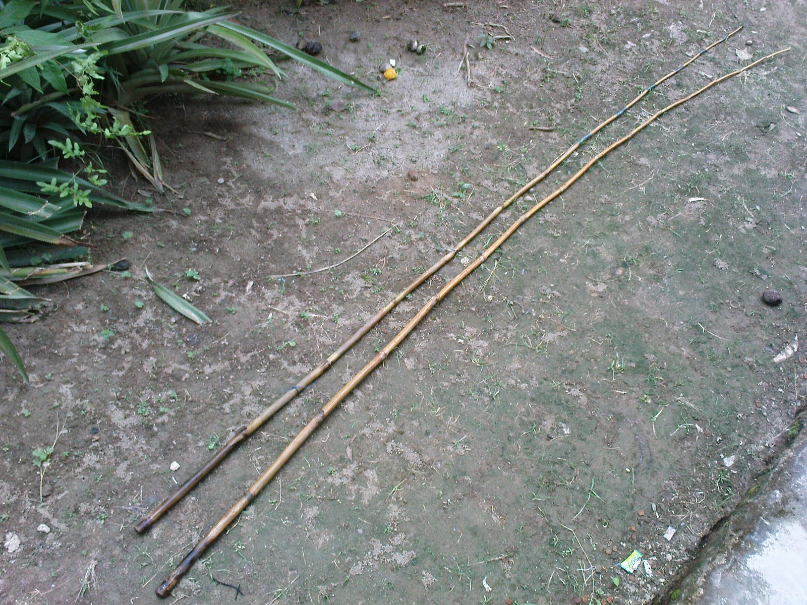 MANCING IKAN BETOK SUKANEGERI Bambu  Sebagai Alat 