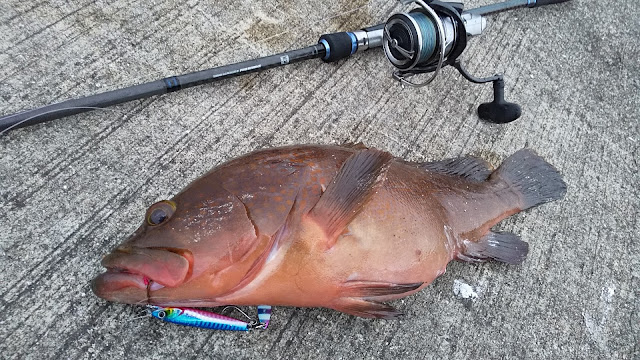 水軒一文字での釣果