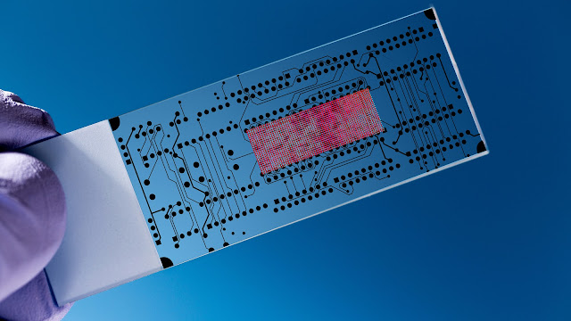 Lab-on-a-chip and Microarrays (Biochip) Market
