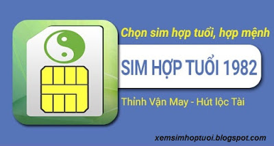 sim hợp tuổi 1982