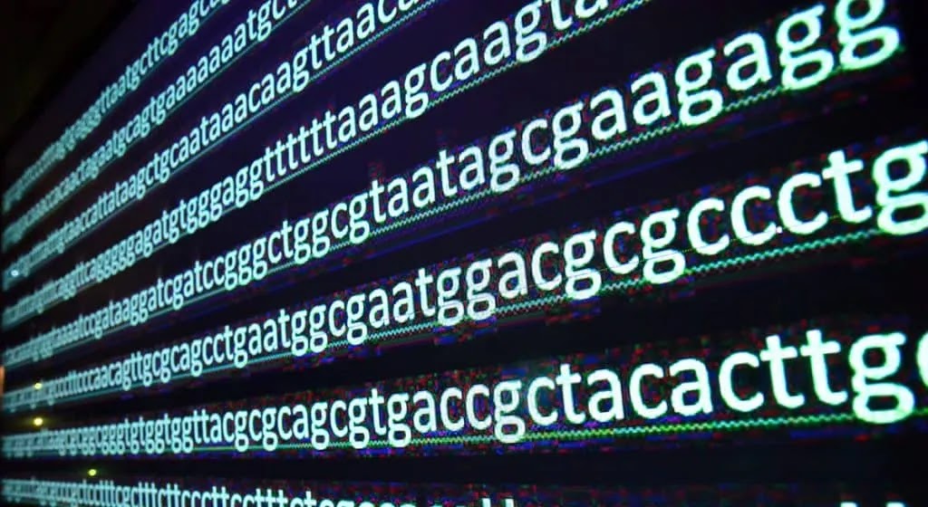 Mais de 30 milhões de letras de DNA foram alinhadas para formar um retrato completo do cromossomo Y | Crédito da foto: Sergei Drozd – Shutterstock