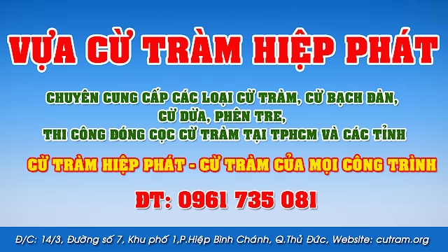 MỘT SỐ LƯU Ý VỀ TIÊU CHUẨN ĐÓNG CỪ TRÀM, Bán cừ tràm giá rẻ Hiệp Phát