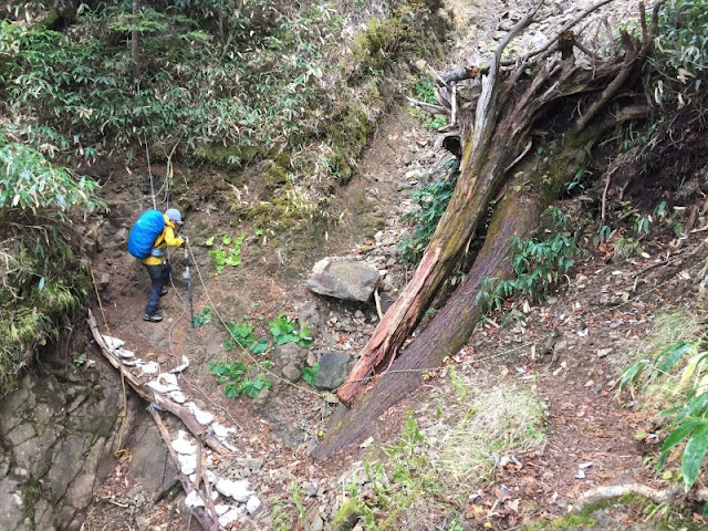 庚申山荘への登山道