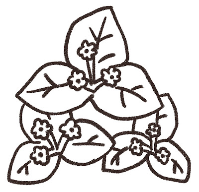 ブーゲンビリアのイラスト（花） モノクロ線画
