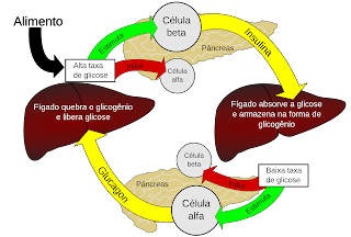 herbalife aloe vera sabor original beneficios y caracteristicas