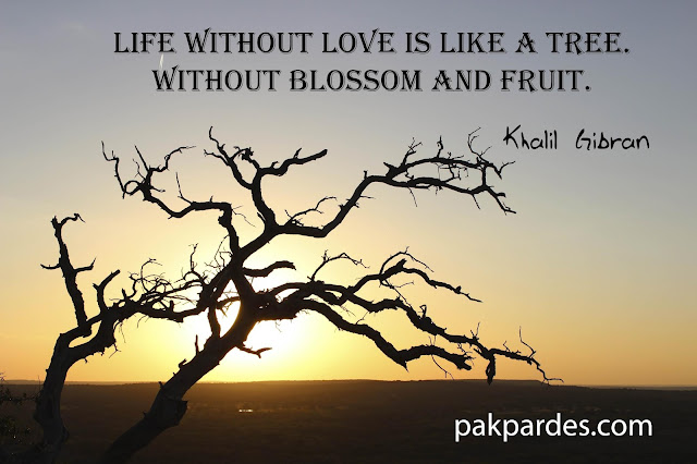 Life without love is like a tree. Without blossom and fruit. - Khalil  Gibran,love,quotes,love quotes,best love quotes,inspirational quotes,love quotes for him,love quotes and sayings,romantic quotes,movie love quotes,what is love,famous quotes,love (quotation subject),love quotes for him from her,love pain quotes,inspirational love quotes,love quotes with music,quotes about love,love heart touching quotes,beautiful love quotes with images,beautiful love quotes,love quotes for her 