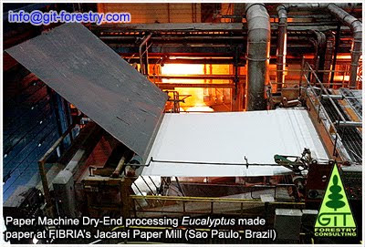 Paper Machine Dry End at FIBRIA Jacarei Eucalyptus Paper Mill, Sao Paulo, Brazil / Salida en seco de la Maquina de Papel de la fabrica de papel de eucalipto de FIBRIA Jacarei, San Pablo, Brasil / Gustavo Iglesias Trabado, Roberto Carballeira Tenreiro and Javier Folgueira Lozano / GIT Forestry Consulting SL, Consultoría y Servicios de Ingeniería Agroforestal, Lugo, Galicia, España, Spain / Eucalyptologics, information resources on Eucalyptus cultivation around the world / Eucalyptologics, recursos de informacion sobre el cultivo del eucalipto en el mundo