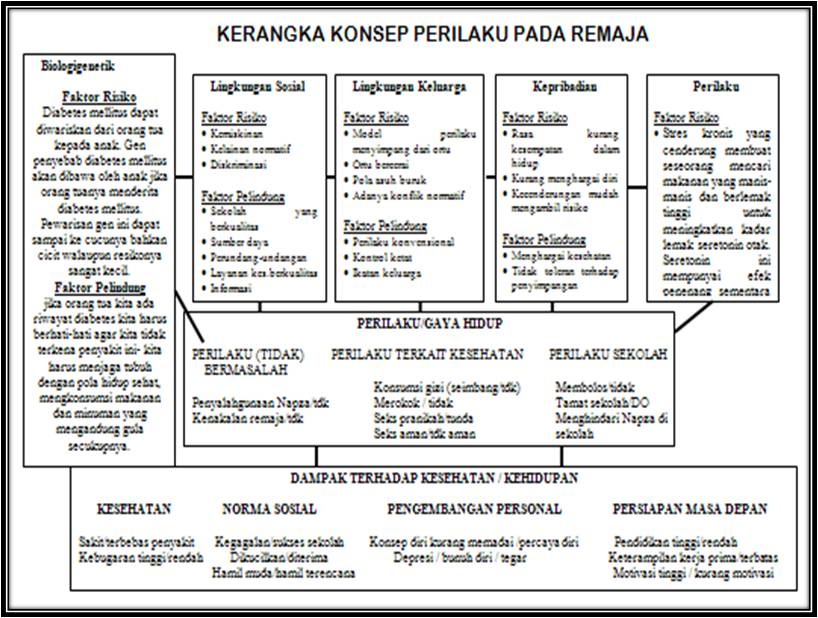 Kerangka Konsep Prilaku pada Remaja  saya, ilmu dan 