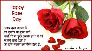 rose day image hd