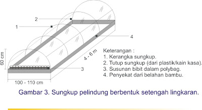  Tergolong tanaman semusim yang tumbuh merambat berbatang lunak  Tergolong tanaman semusim yang tumbuh merambat berbatang lunak