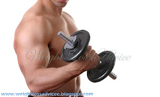 Muscle+Training+Tips+Bicep+Muscles