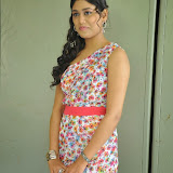 Manisha Yadav Photos in Floral Short Dress at Preminchali Movie Press Meet 70 