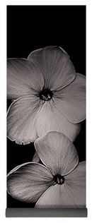 https://fineartamerica.com/featured/floating-flowers-in-black-and-white-smilin-eyes-treasures.html?product=yoga-mat