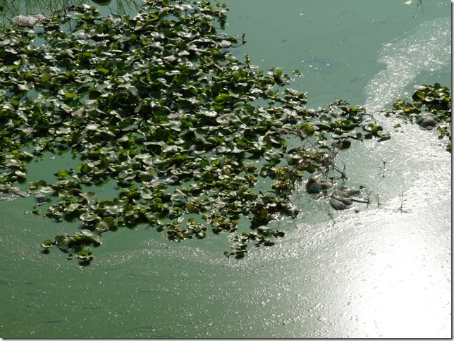 2008.12_india_0977