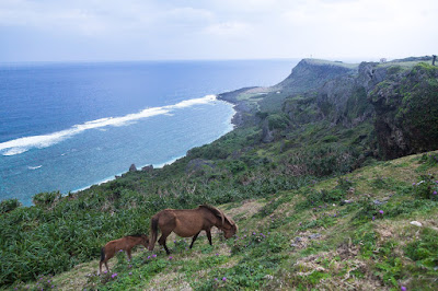 馬と海