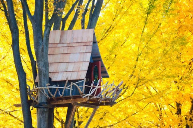 Design a unique small tree house