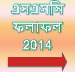 SSC Exam Result 2014 Education Board Result Bangladesh 