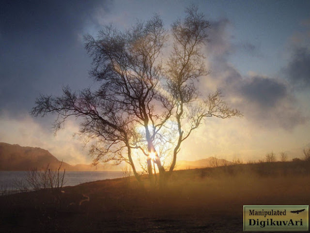 Blending images - Kuvien sekoittaminen - Blendaus - Blending tree and sea