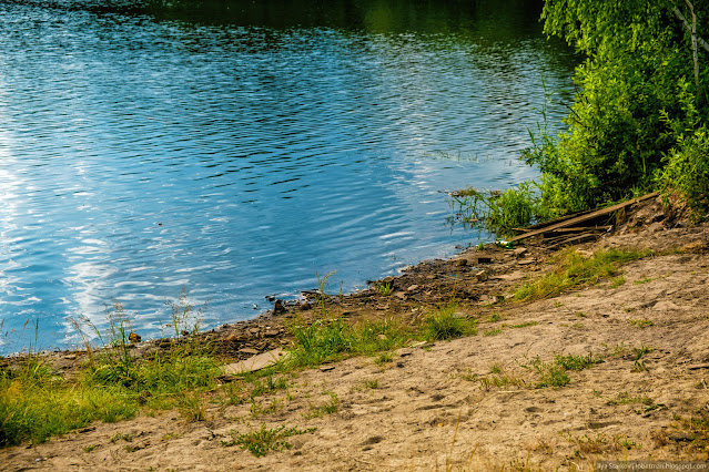 Мусор у кромки воды