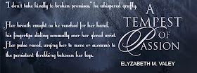 http://www.evernightpublishing.com/a-tempest-of-passion-by-elyzabeth-m-valey/