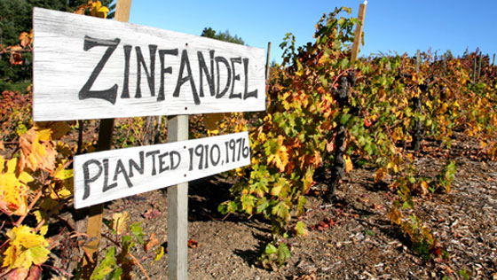  Todo sobre el vino Zinfandel